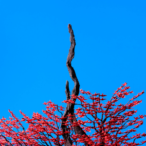 成人网站在现观看
