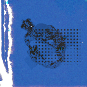 成人网站在现观看
