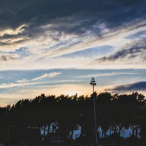 成人网站在现观看
