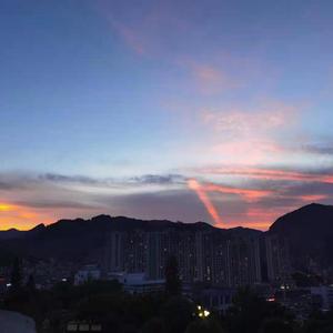 成人网站在现观看
